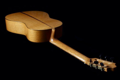 Arnoldo Luthier Photo