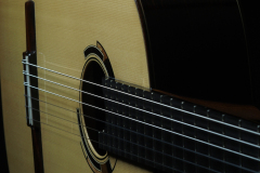 Arnoldo Luthier Photo