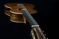 Arnoldo Luthier Photo