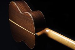 Arnoldo Luthier Photo