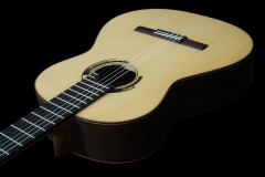 Arnoldo Luthier Photo