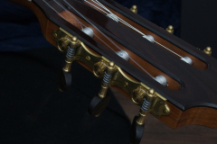 Arnoldo Luthier Photo