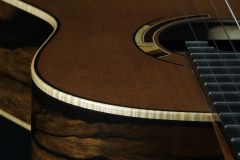 Arnoldo Luthier Photo