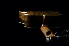 Arnoldo Luthier Photo