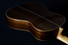 Arnoldo Luthier Photo