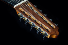 Arnoldo Luthier Photo