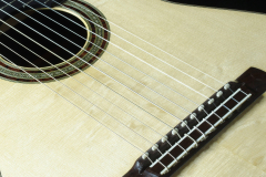 Arnoldo Luthier Photo