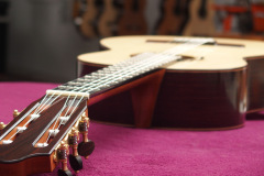 Arnoldo Luthier Photo