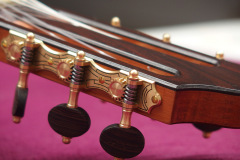 Arnoldo Luthier Photo