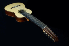 Arnoldo Luthier Photo