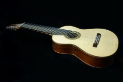 Arnoldo Luthier Photo