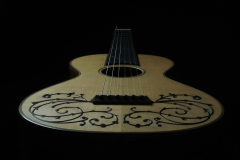 Arnoldo Luthier Photo