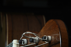 Arnoldo Luthier Photo