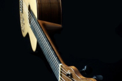 Arnoldo Luthier Photo