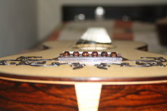 Arnoldo Luthier Photo