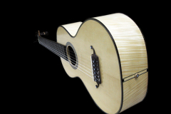 Arnoldo Luthier Photo