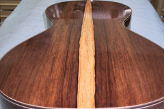 Arnoldo Luthier Photo