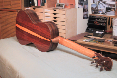 Arnoldo Luthier Photo