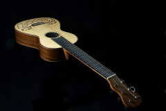 Arnoldo Luthier Photo