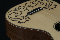 Arnoldo Luthier Photo