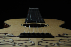 Arnoldo Luthier Photo